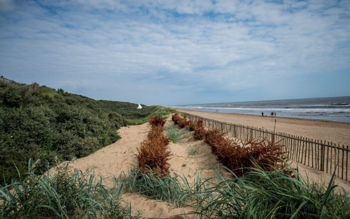 Photo of dunes along a shore. Photo of dunes along a shore.